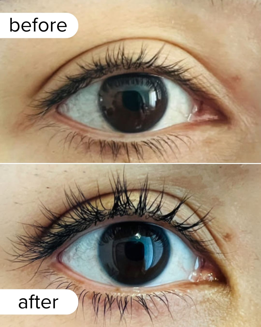 LASH SERUM 3ML