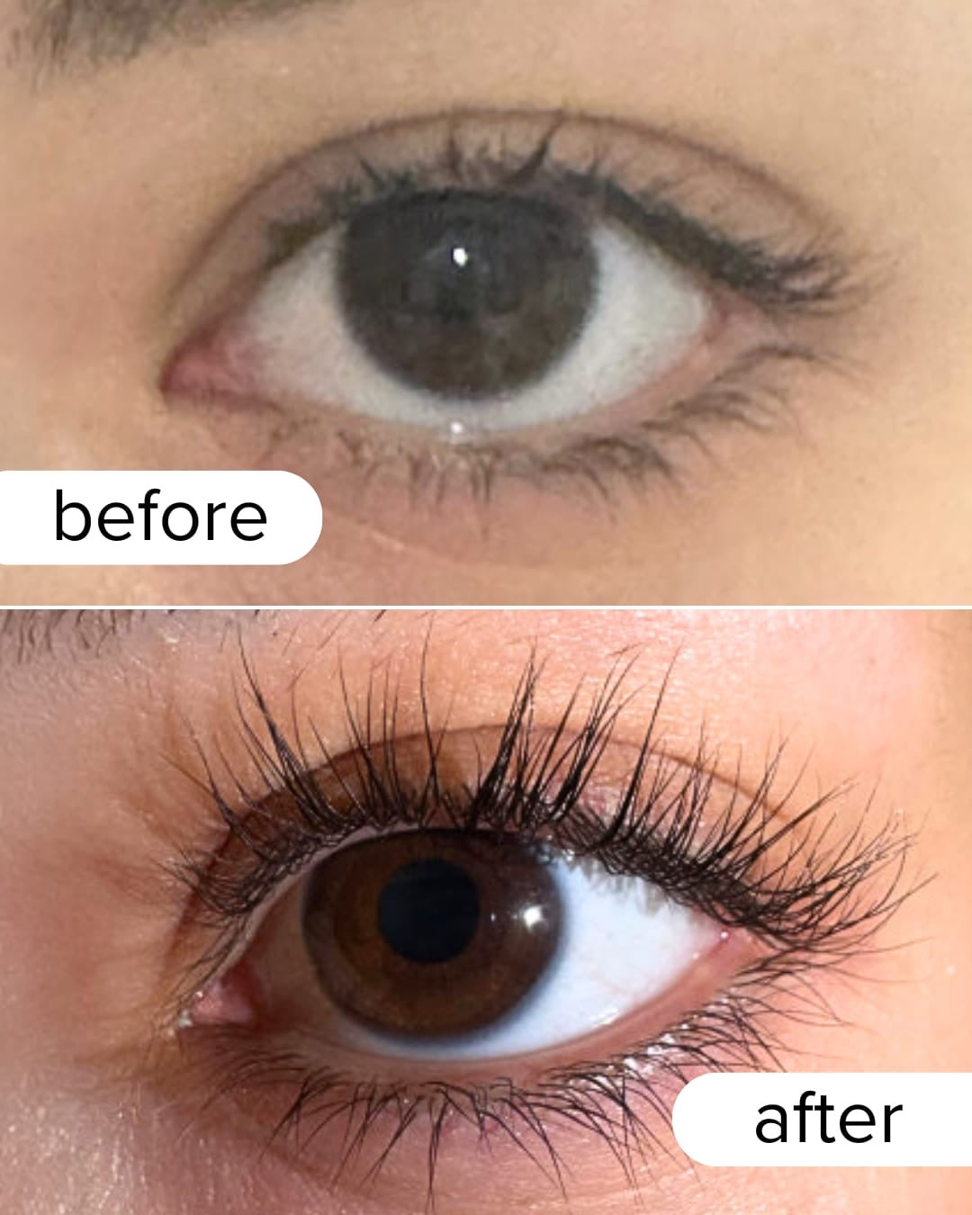 LASH SERUM 3ML