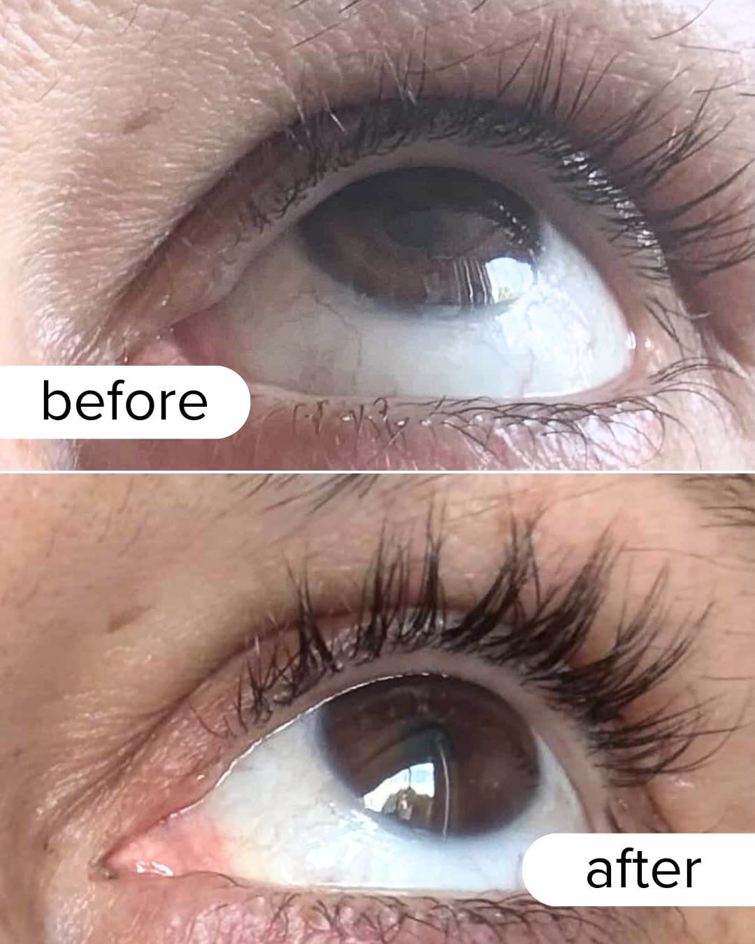 LASH SERUM 3ML